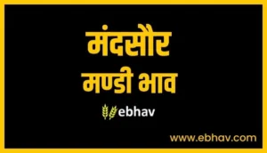 mandsaur-mandi-bhav