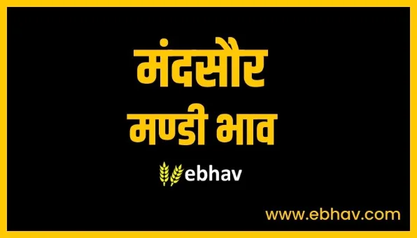 mandsaur-mandi-bhav