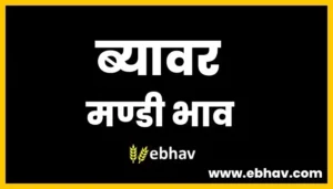 beawar-mandi-bhav