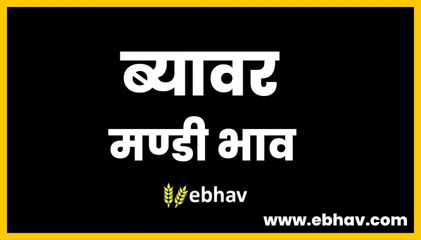 beawar-mandi-bhav