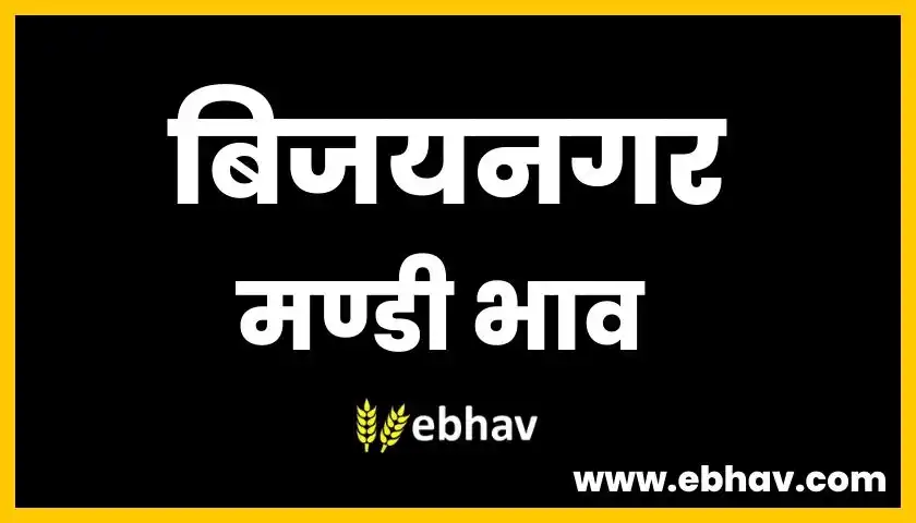 bijaynagar-mandi-bhav