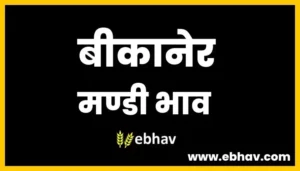 bikaner-mandi-bhav