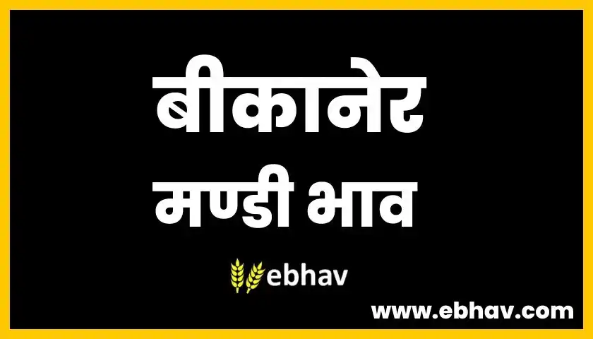 bikaner-mandi-bhav