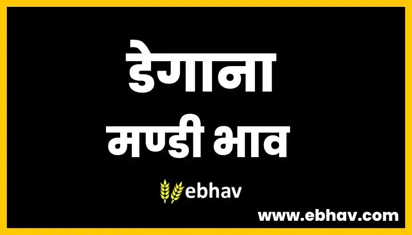 degana-mandi-bhav