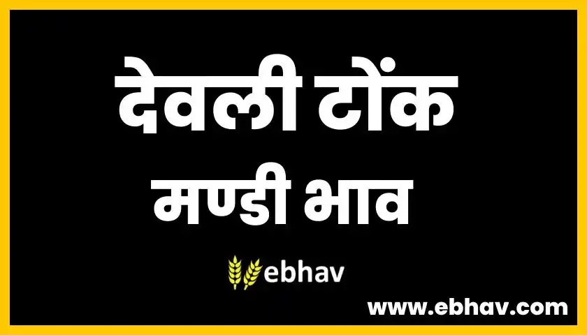 deoli-tonk-mandi-bhav