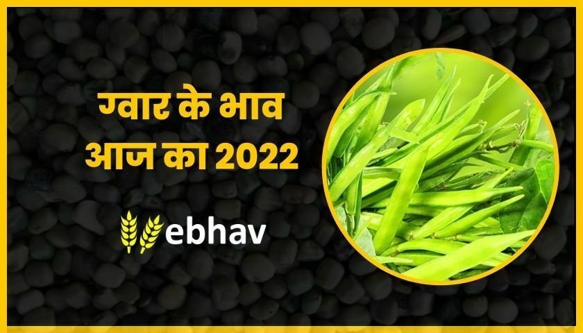 gawar-ka-bhav-today