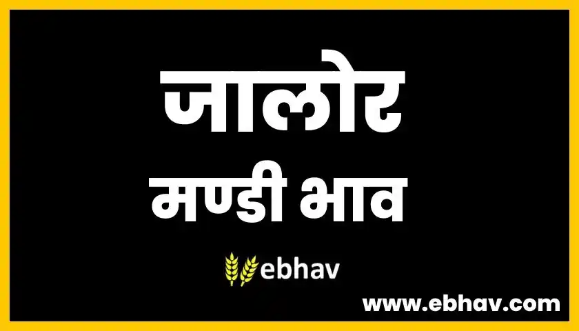 jalore-mandi-bhav