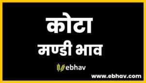 kota-mandi-bhav