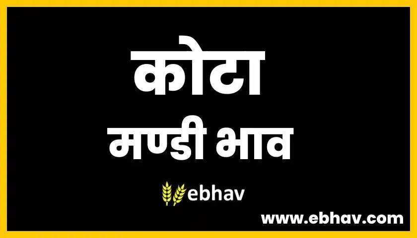 kota-mandi-bhav