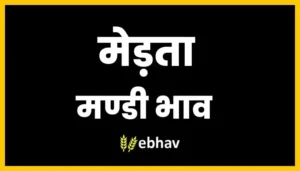 merta-mandi-bhav