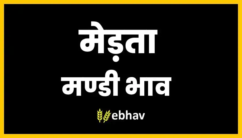 merta-mandi-bhav