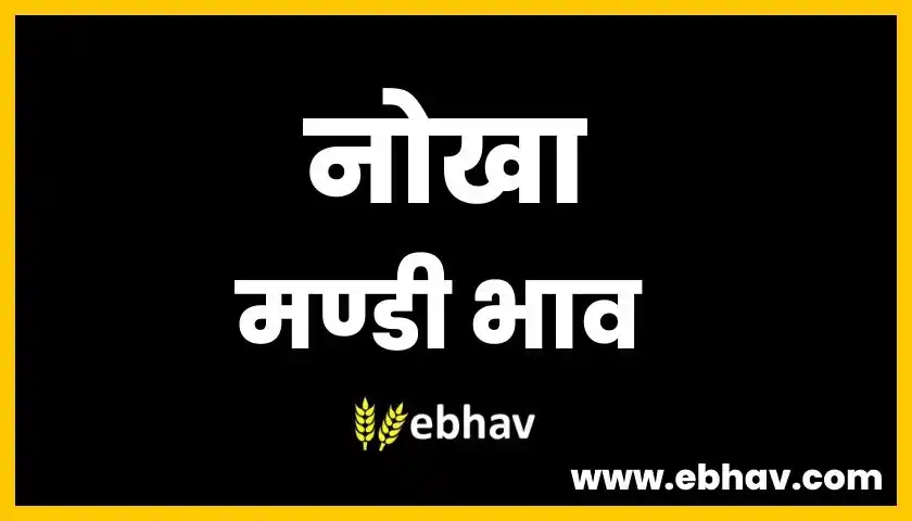 nokha-mandi-bhav