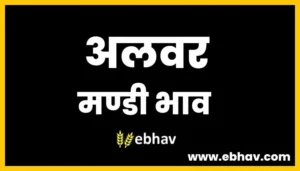 alwar-mandi-bhav