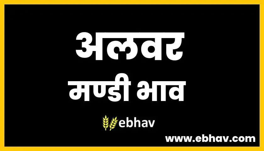 alwar-mandi-bhav