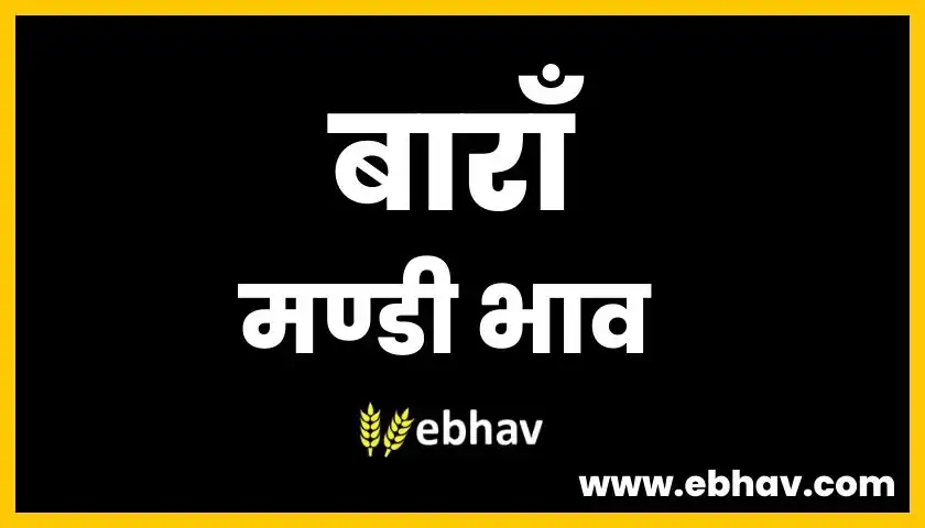 baran-mandi-bhav