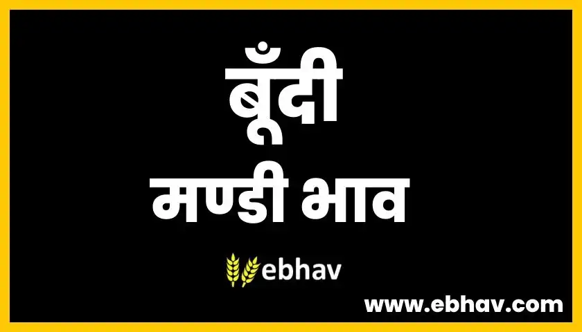 bundi-mandi-bhav
