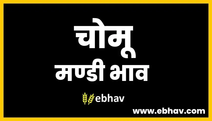 chomu-mandi-bhav