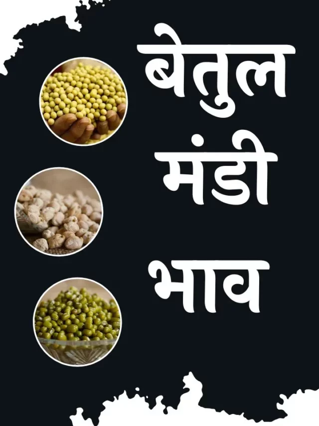 आज का बेतुल मंडी भाव