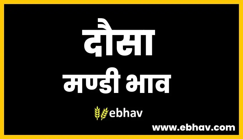 dausa-mandi-bhav