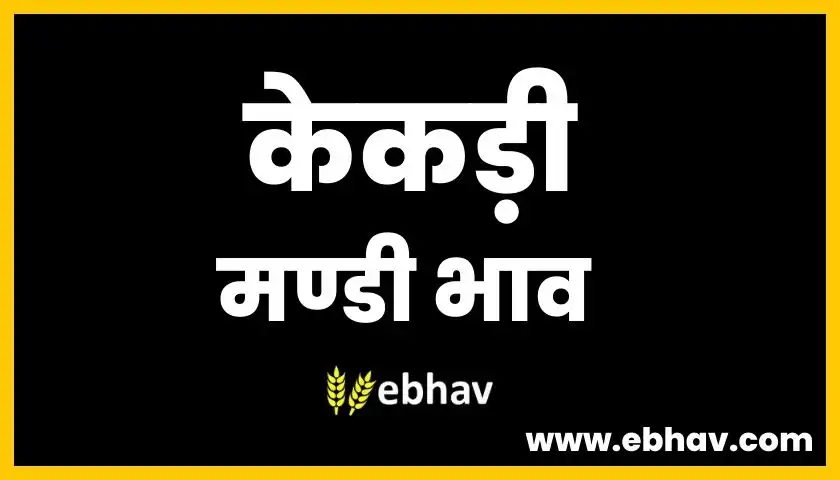 kekri-mandi-bhav