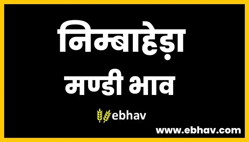 nimbahera-mandi-bhav