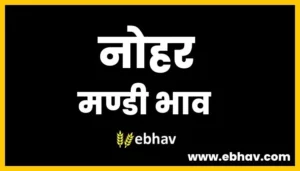 nohar-mandi-bhav