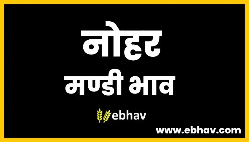 nohar-mandi-bhav