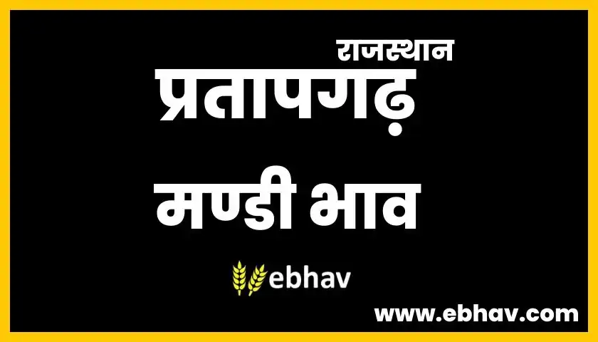 pratapgarh-mandi-bhav