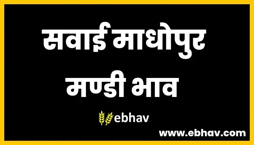 sawai-madhopur-mandi-bhav