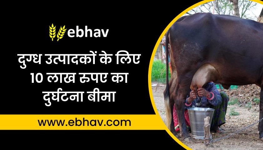 accident-insurance-of-rs-10-lakh-for-milk-producers