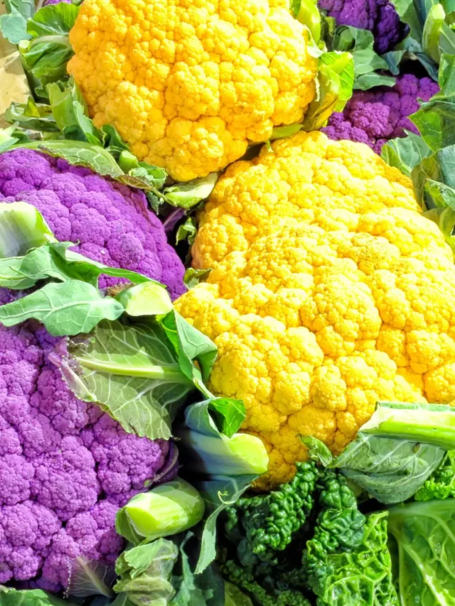 colourful cauliflower (1)