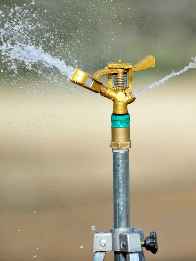 sprinkler (1)