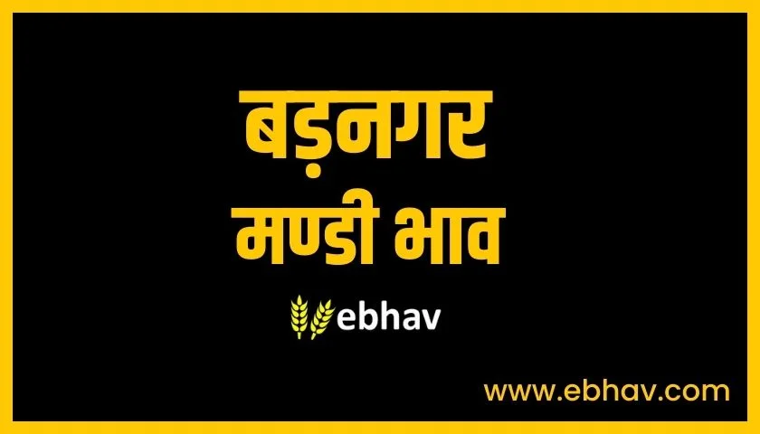 badnagar-mandi-bhav