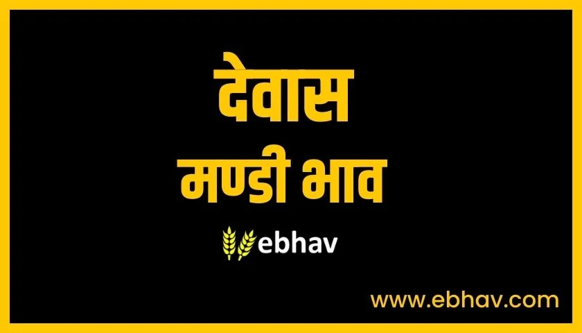 dewas-mandi-bhav