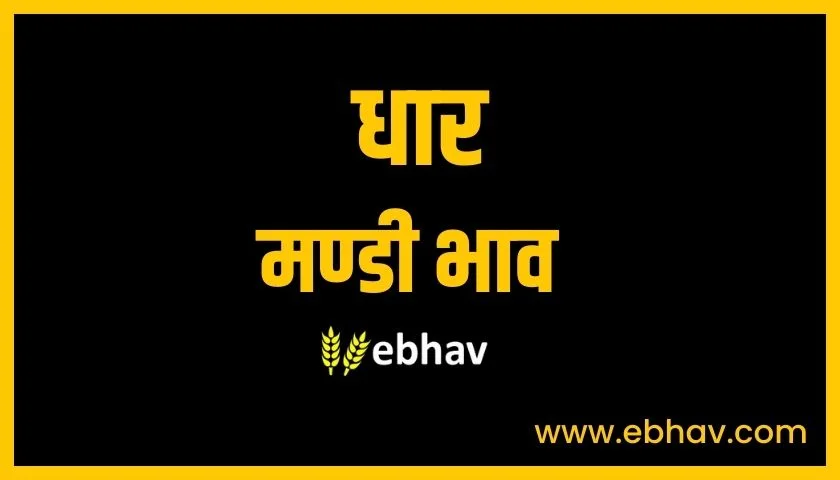 dhar-mandi-bhav
