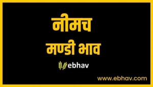 neemuch-mandi-bhav