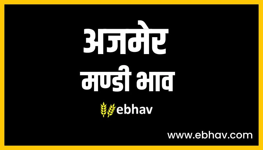 Ajmer-Mandi- bahv