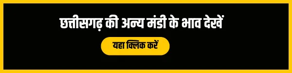 chhattisgarh-mandi-bhav