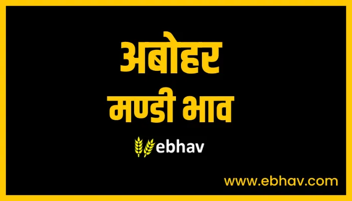 abohar-mandi-bhav