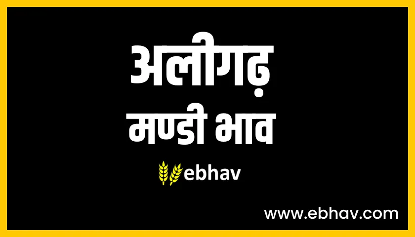 aligarh-mandi-bhav