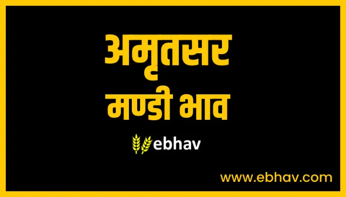 amritsar-mandi-bhav