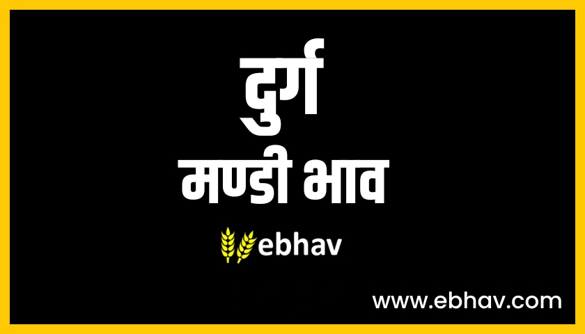 Durg Mandi Bhav