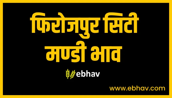 firozepur-mandi-bhav