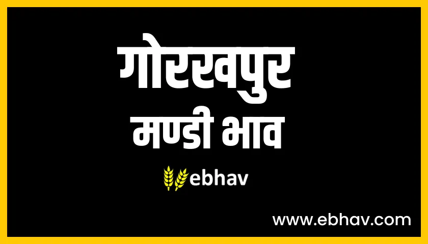 gorakhpur-mandi-bhav