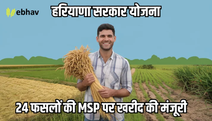 Harayana Crops MSP