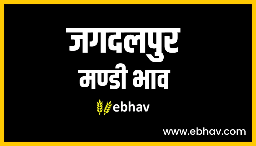 jagdalpur-mandi-bhav