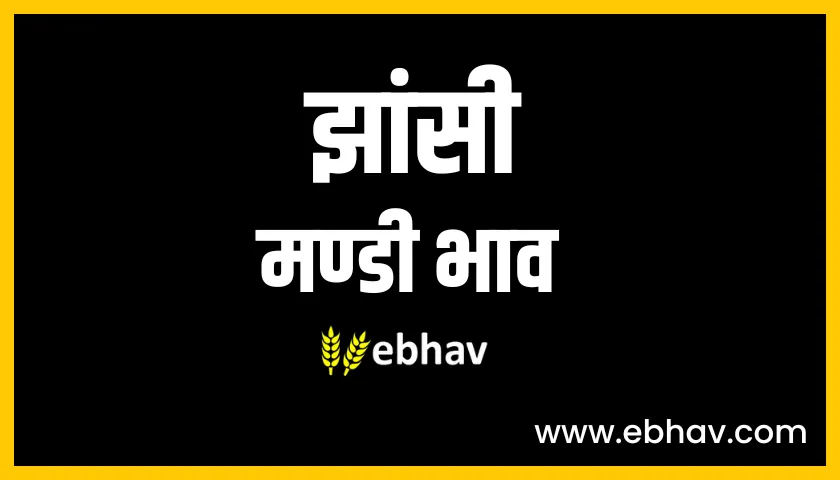 jhansi-mandi-bhav