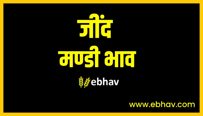 Jind Mandi Bhav