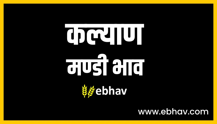 kalyan mandi bhav