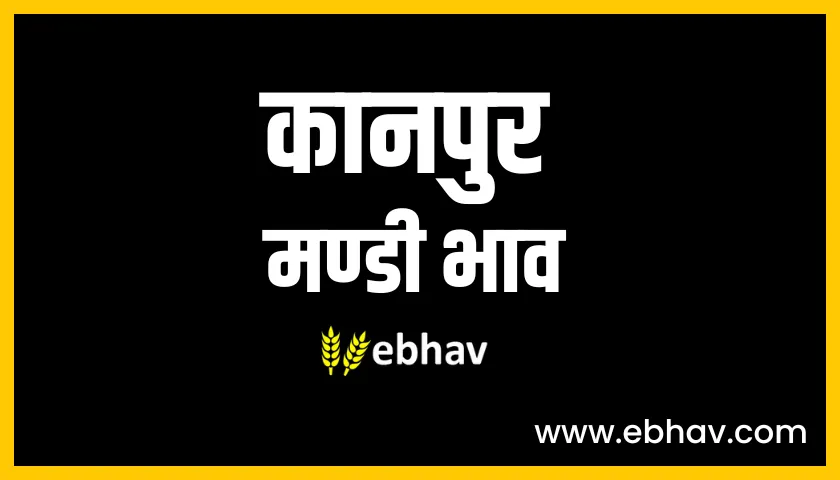 kanpur-mandi- bhav